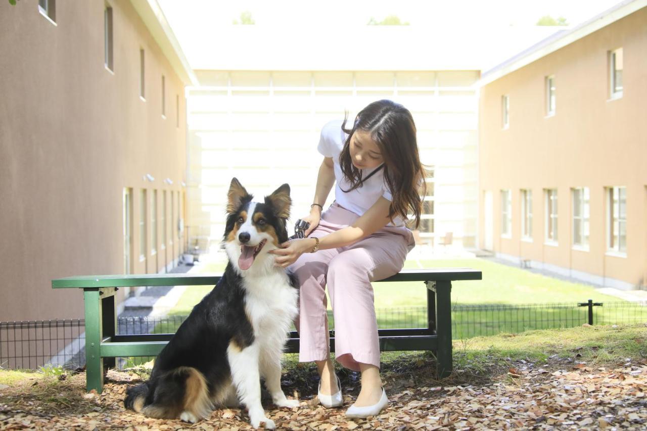 Yutorelo Tateshina Hotel With Dogs Chino Exterior foto